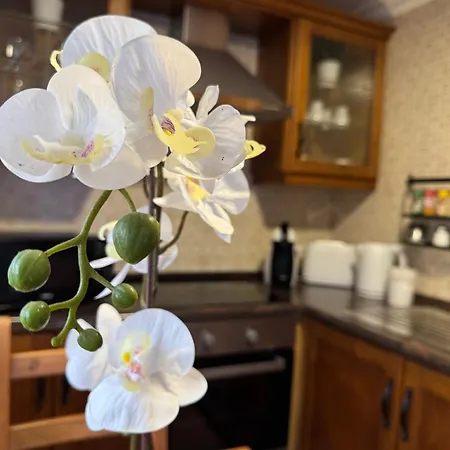 La Planta Vieja Iii Apartman *