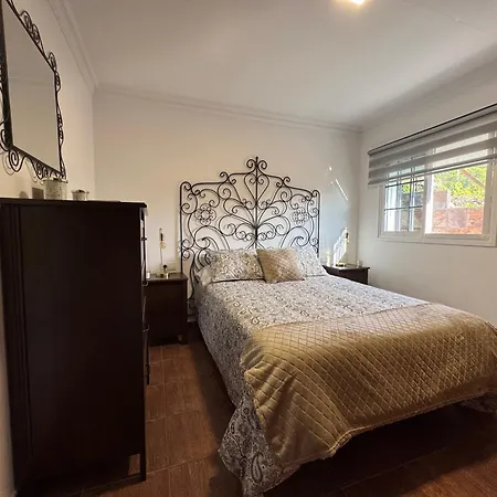 La Planta Vieja Iii La Orotava